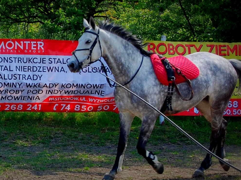 Wizyta na Ranczu u Nikodema - 0.jpg